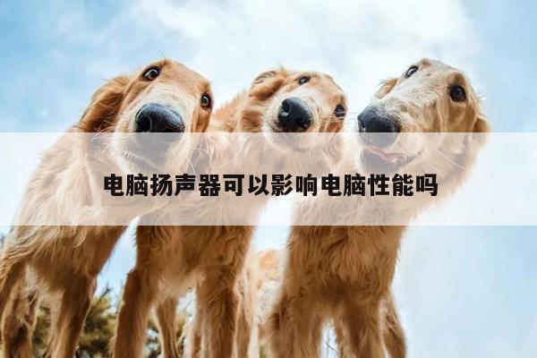 电脑扬声器可以影响电脑性能吗|凯发网站