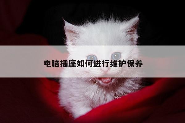 【凯发k8官网入口】电脑插座如何进行维护保养