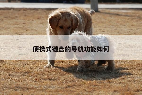 便携式键盘的导航功能如何-凯发网站