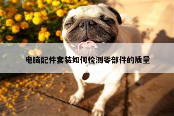 电脑配件套装如何检测零部件的质量-凯发网站