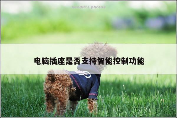 电脑插座是否支持智能控制功能：凯发网站