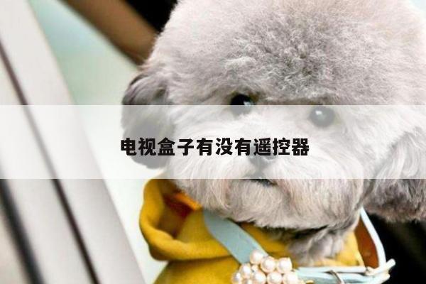 电视盒子有没有遥控器-凯发网站