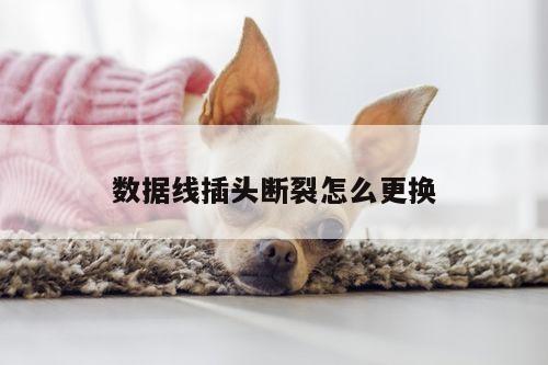 凯发网站-数据线插头断裂怎么更换