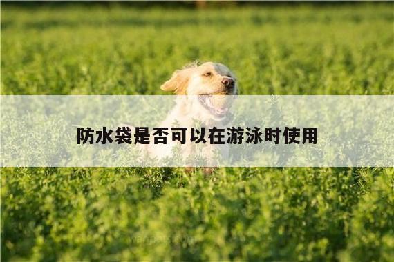 防水袋是否可以在游泳时使用【凯发k8官方】