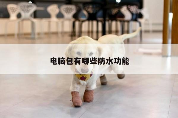 电脑包有哪些防水功能【凯发k8官方】