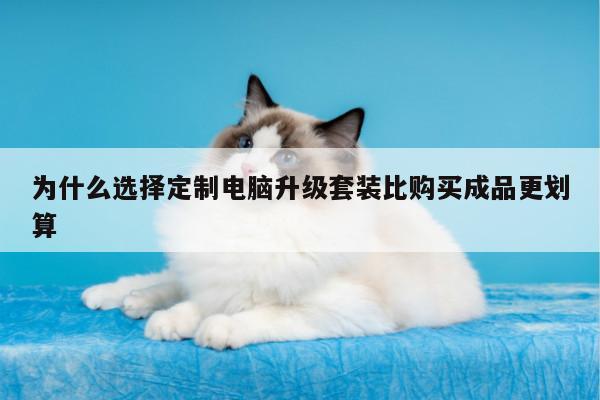 为什么选择定制电脑升级套装比购买成品更划算：凯发k8官方