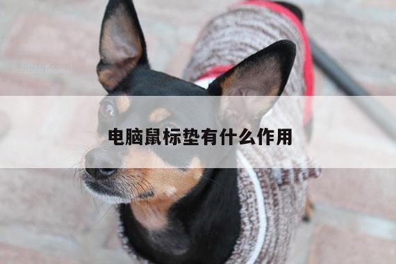 电脑鼠标垫有什么作用|凯发网站