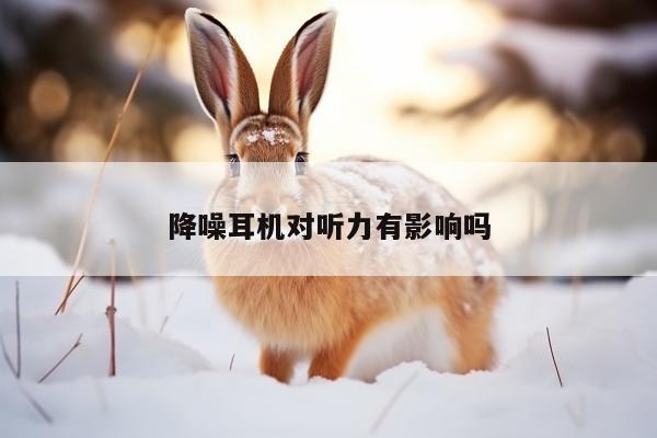 降噪耳机对听力有影响吗-凯发网站