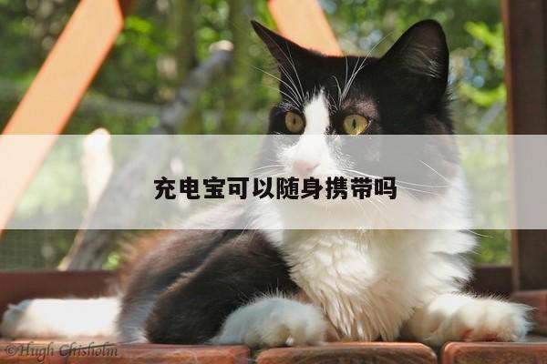 充电宝可以随身携带吗_凯发k8官网入口