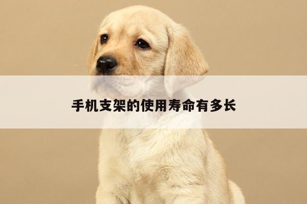手机支架的使用寿命有多长_凯发网站