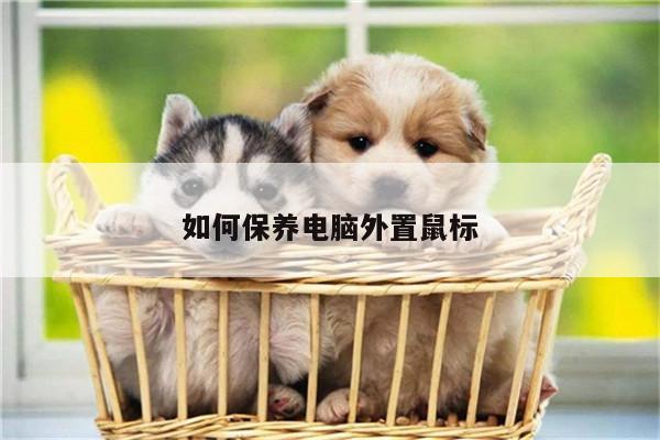 如何保养电脑外置鼠标【凯发网站】