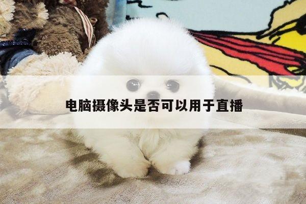 凯发k8官方-电脑摄像头是否可以用于直播