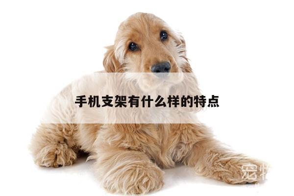 凯发网站_手机支架有什么样的特点