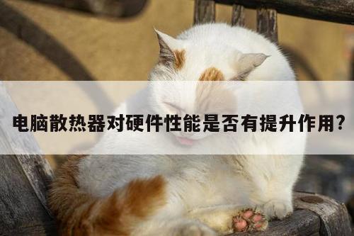 电脑散热器对硬件性能是否有提升作用?|凯发k8官网入口