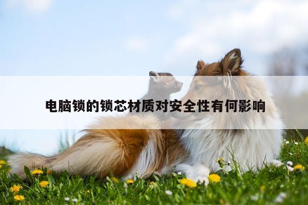 凯发网站-电脑锁的锁芯材质对安全性有何影响