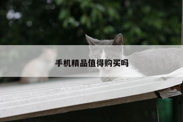 手机精品值得购买吗:凯发k8官方