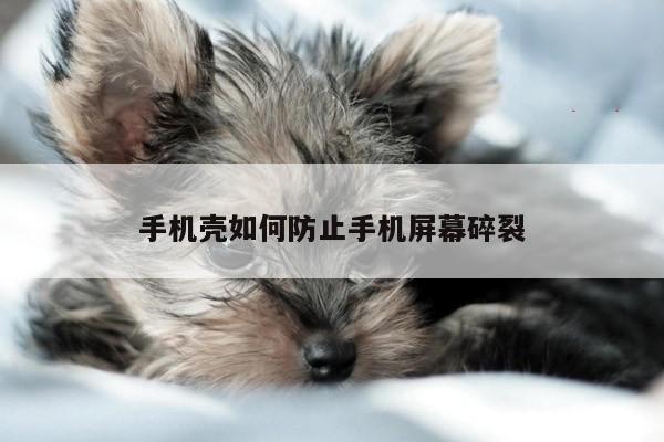 凯发网站|手机壳如何防止手机屏幕碎裂