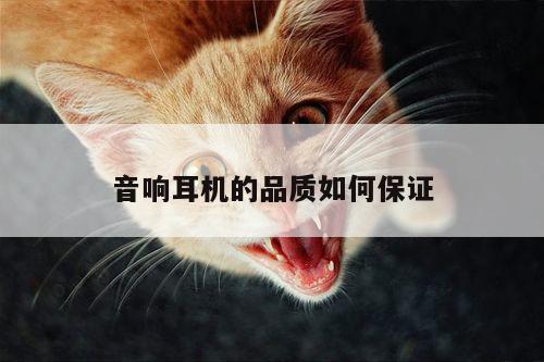 音响耳机的品质如何保证-凯发k8官方