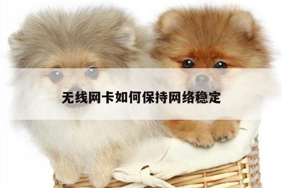 凯发网站_无线网卡如何保持网络稳定